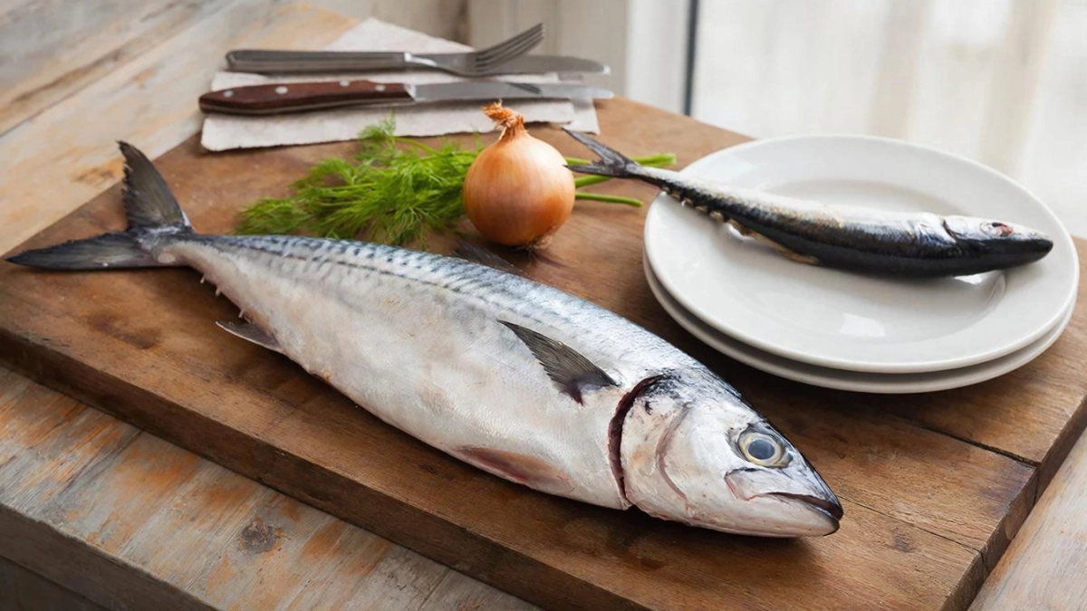 Как засолить скумбрию: простой рецепт вкусной рыбы — стоит попробовать каждому