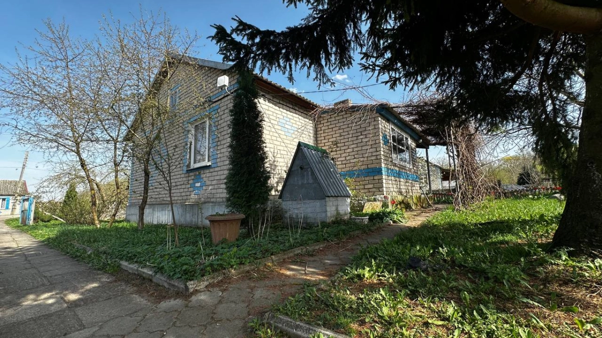 Все нос воротят, а я собираю - 4 хитрости с шишками в огороде: польза неоценима