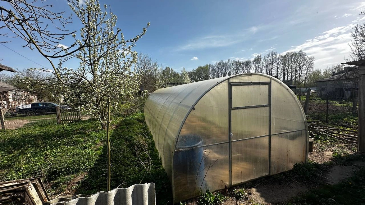 Закапываю бутылки в грядки и проблем не знаю: этот лайфхак увеличит урожай на 40 % — секрет белорусских садоводов