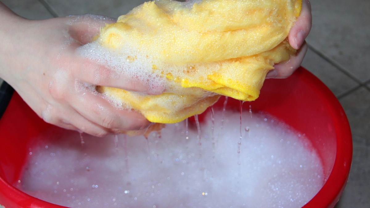 Никогда не выливаю воду из-под хозяйственного мыла — поливаю ими грядки: полезный совет для дачников