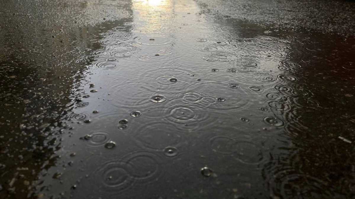 В Подмосковье 17 апреля будет дождливая и ветреная погода