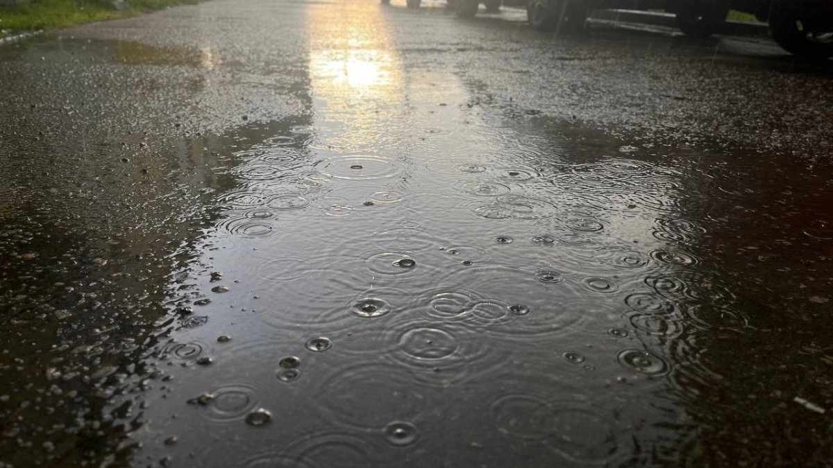 Погода в Московской области 18 апреля будет дождливой и прохладной