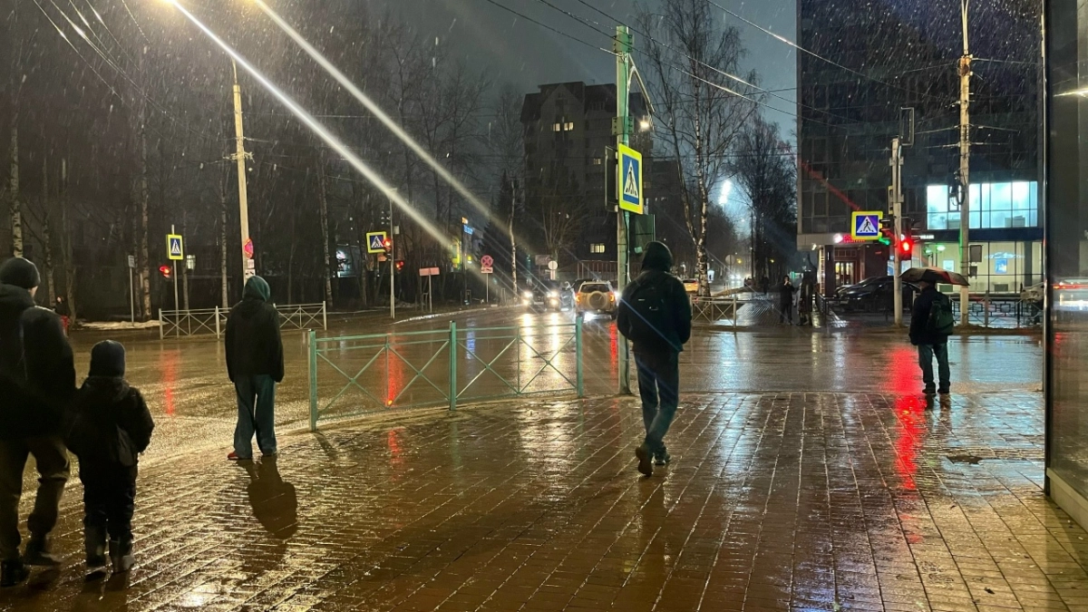 Погода в Московской области 19 апреля будет холодной с мокрым снегом