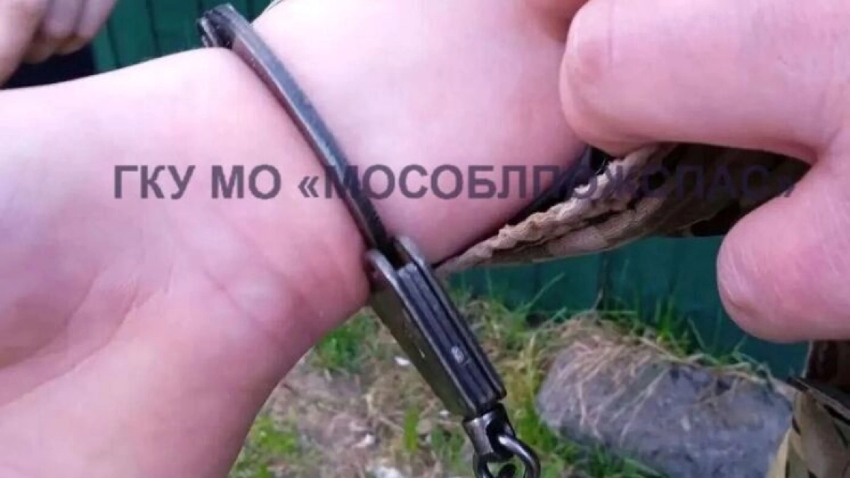 Заковал сам себя: спасатели освободили добровольного узника в Московской области