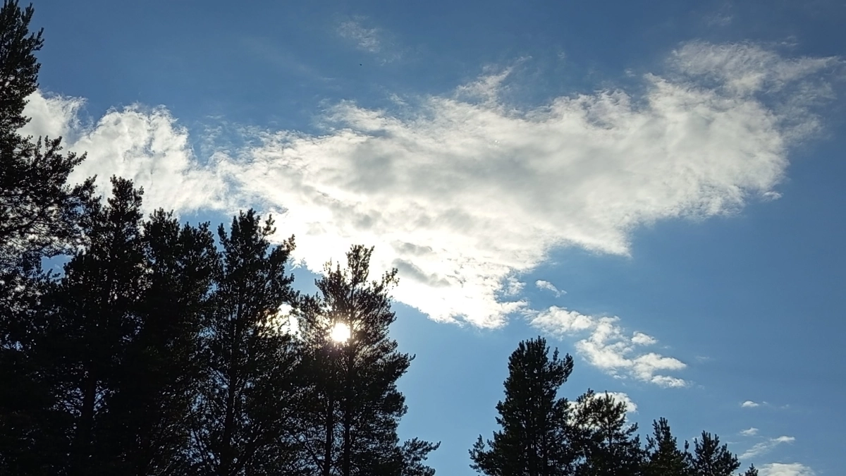 Постепенное потепление начнется в Московском регионе 21 апреля