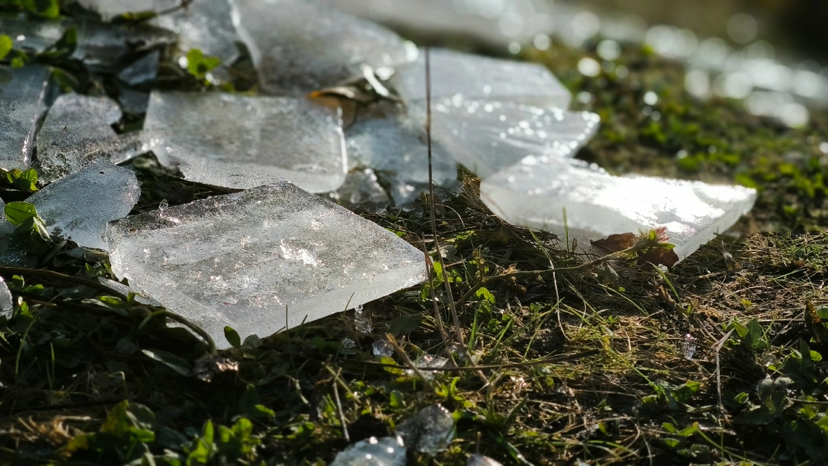 Синоптики спрогнозировали улучшение погоды 22 апреля в Московском регионе после ночных заморозков