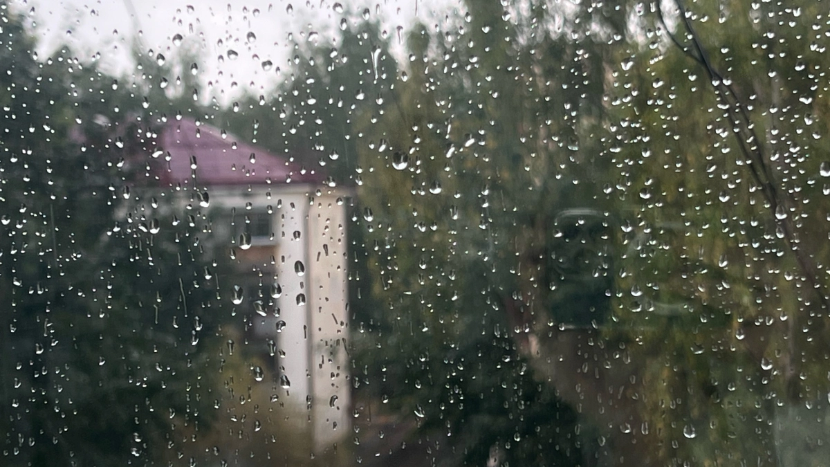 В Московской области 24 апреля сохранятся дождь, мокрый снег и ветер