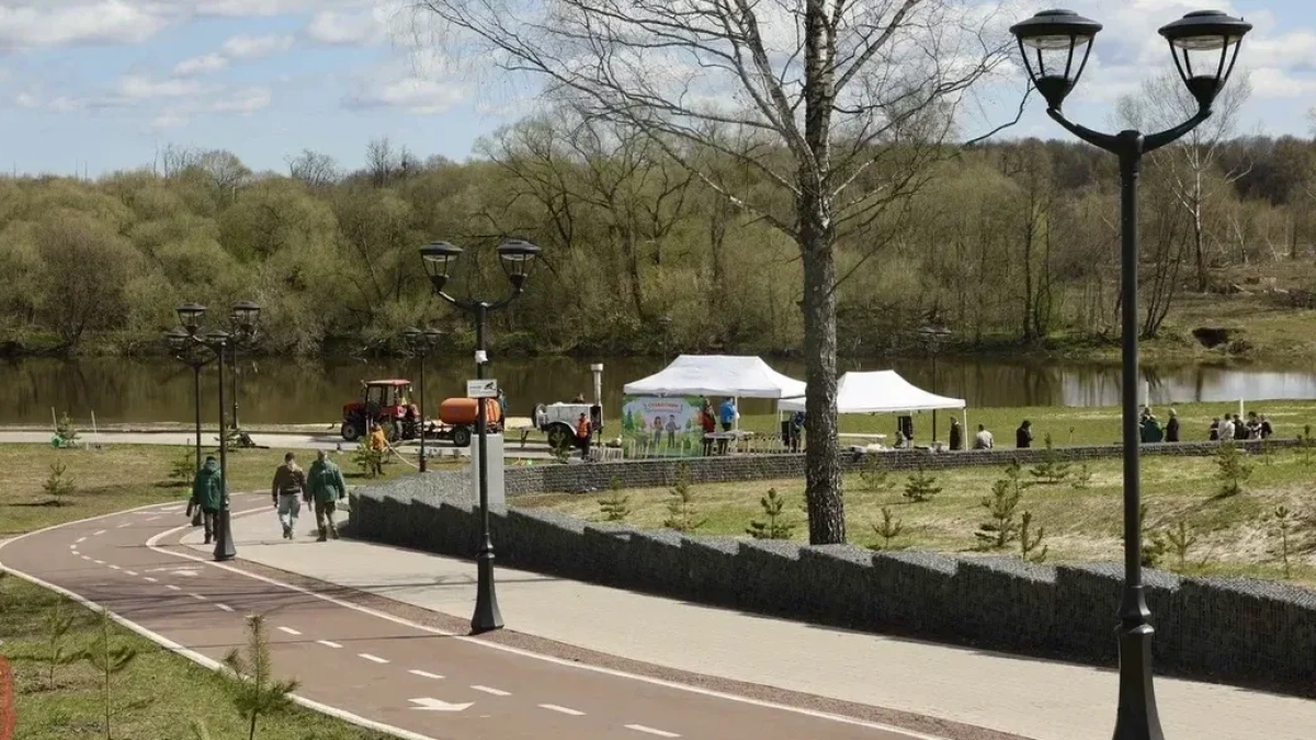 30 сосен высадили на набережной Нары в Наро-Фоминске