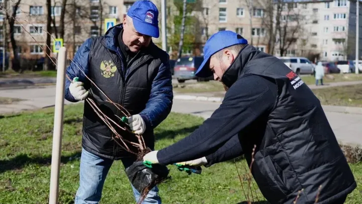 В Наро-Фоминском округе во время субботника высадили деревья и собрали десятки кубометров мусора