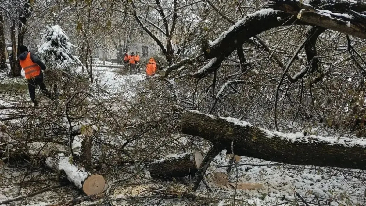 Коммунальщики Наро-Фоминска опилили деревья после снегопада