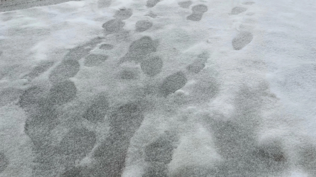 В Московской области 28 апреля ожидаются обильные снегопады и штормовой ветер