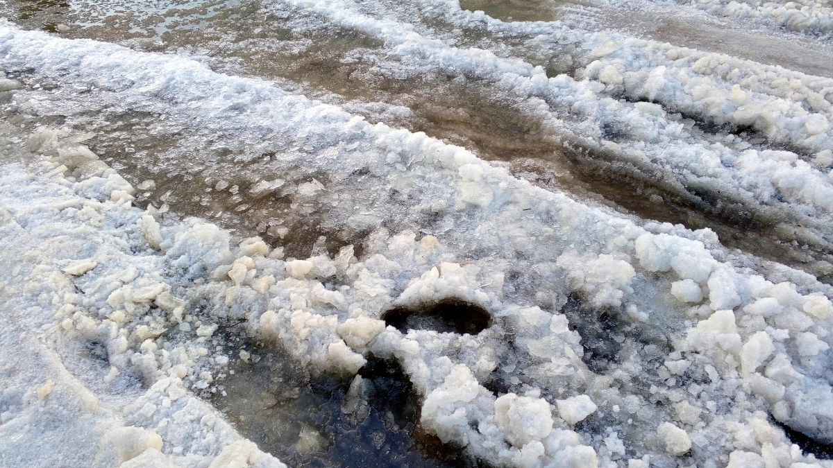 В Московской области 29 апреля ожидаются снег и гололедица