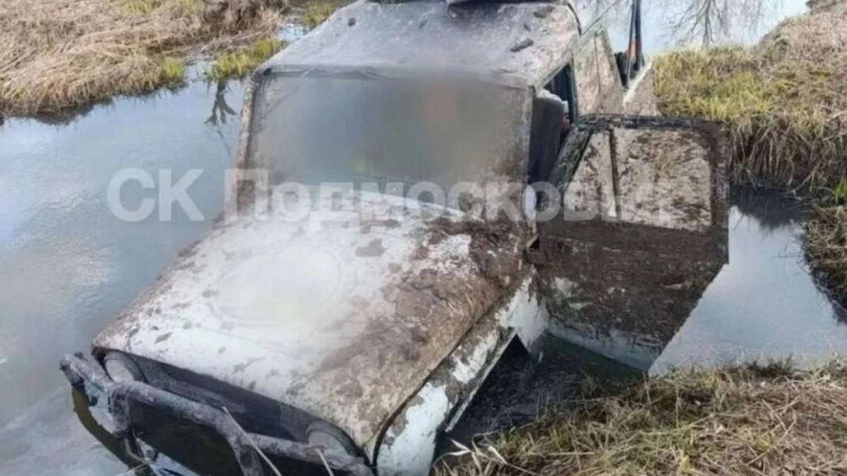 В Московской области обнаружили тела троих мужчин в автомобиле