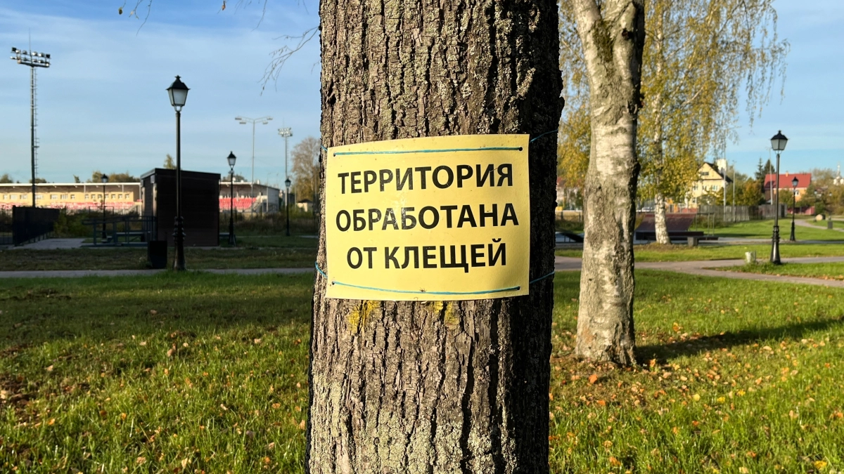 В Наро-Фоминске обработают набережную и парк от клещей
