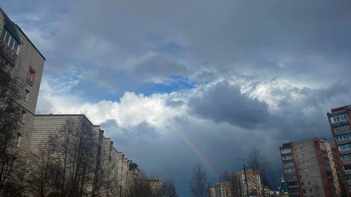 В Московской области 6 мая ожидаются грозы и порывистый ветер 