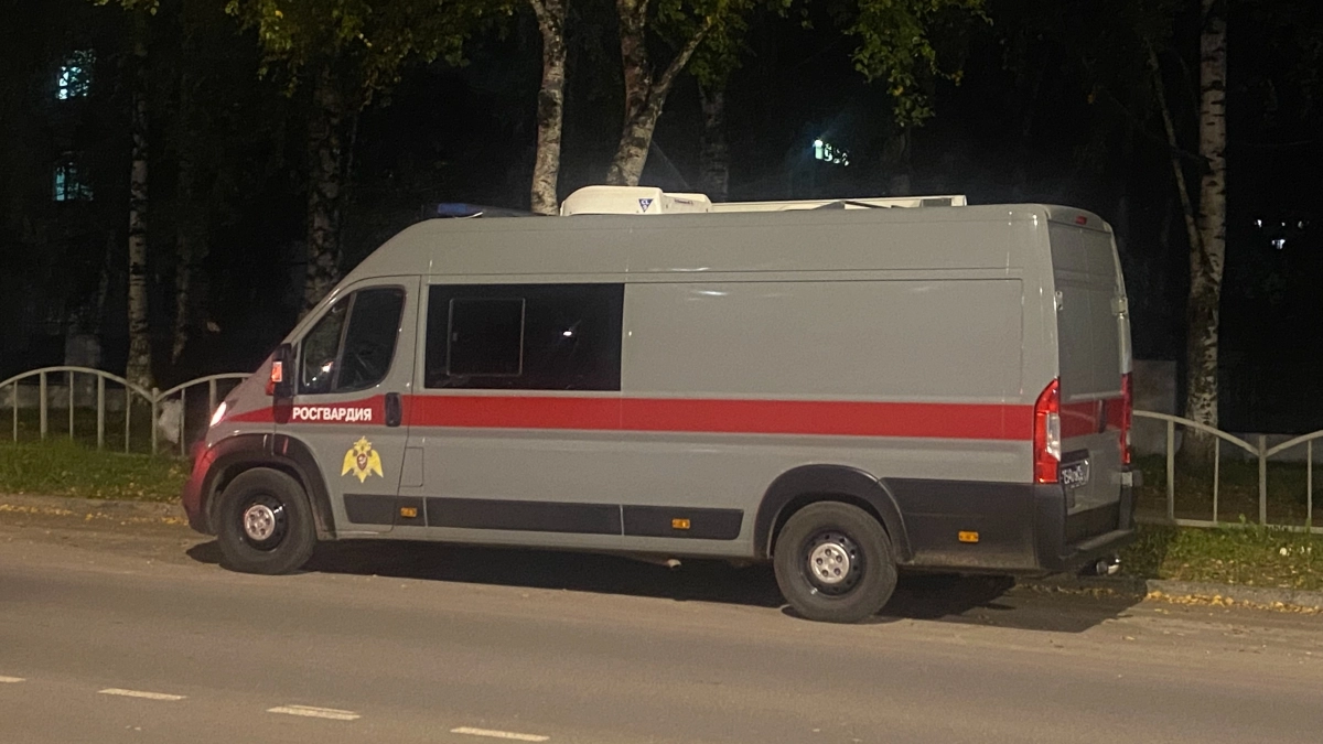 В Подмосковье мужчина устроил непристойную демонстрацию на детской площадке