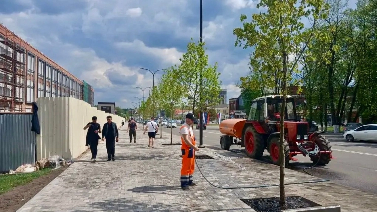 В Наро-Фоминске завершают озеленение центральной городской площади