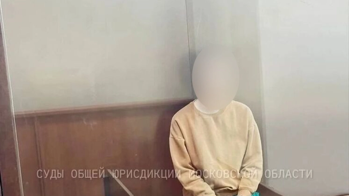 Суд арестовал мужчину по делу о покушении на убийство девочки в Наро-Фоминске