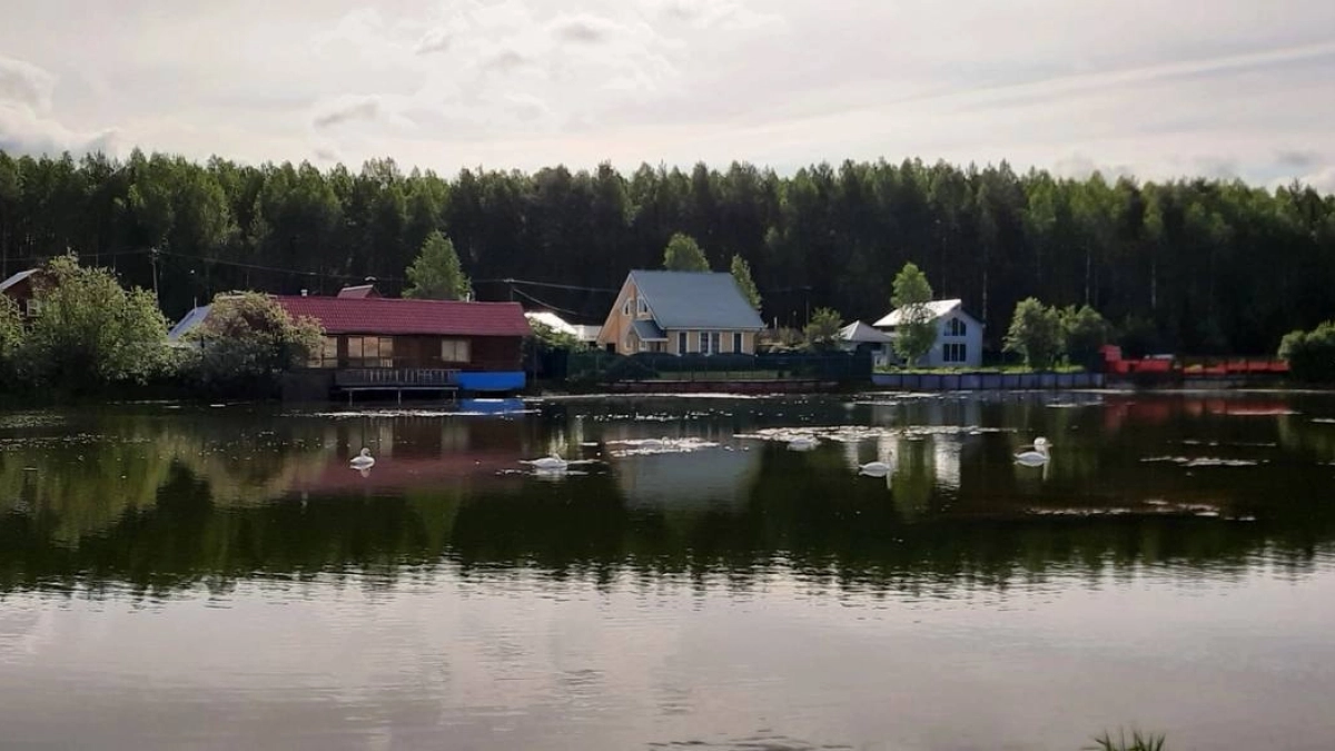 Прокуратура изъяла незаконно приватизированный участок в Московской области