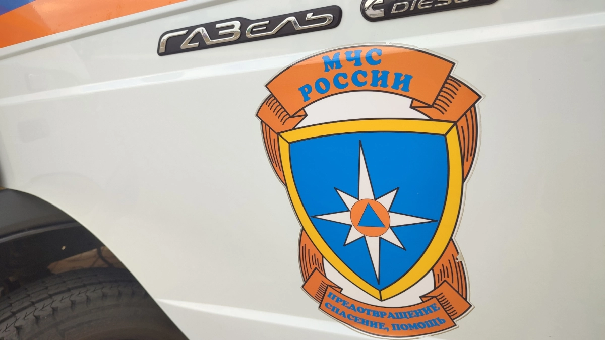 Спасатели извлекли из реки тонущего мужчину в Московской области