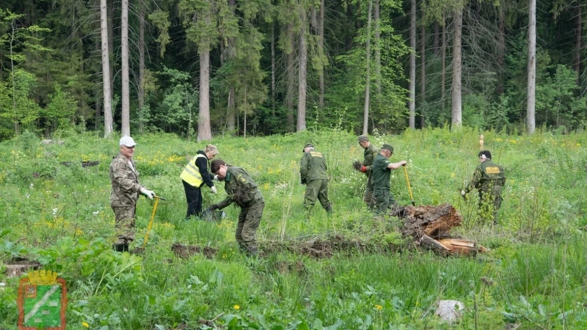 В Наро-Фоминском округе десятки семей объединила экологическая акция