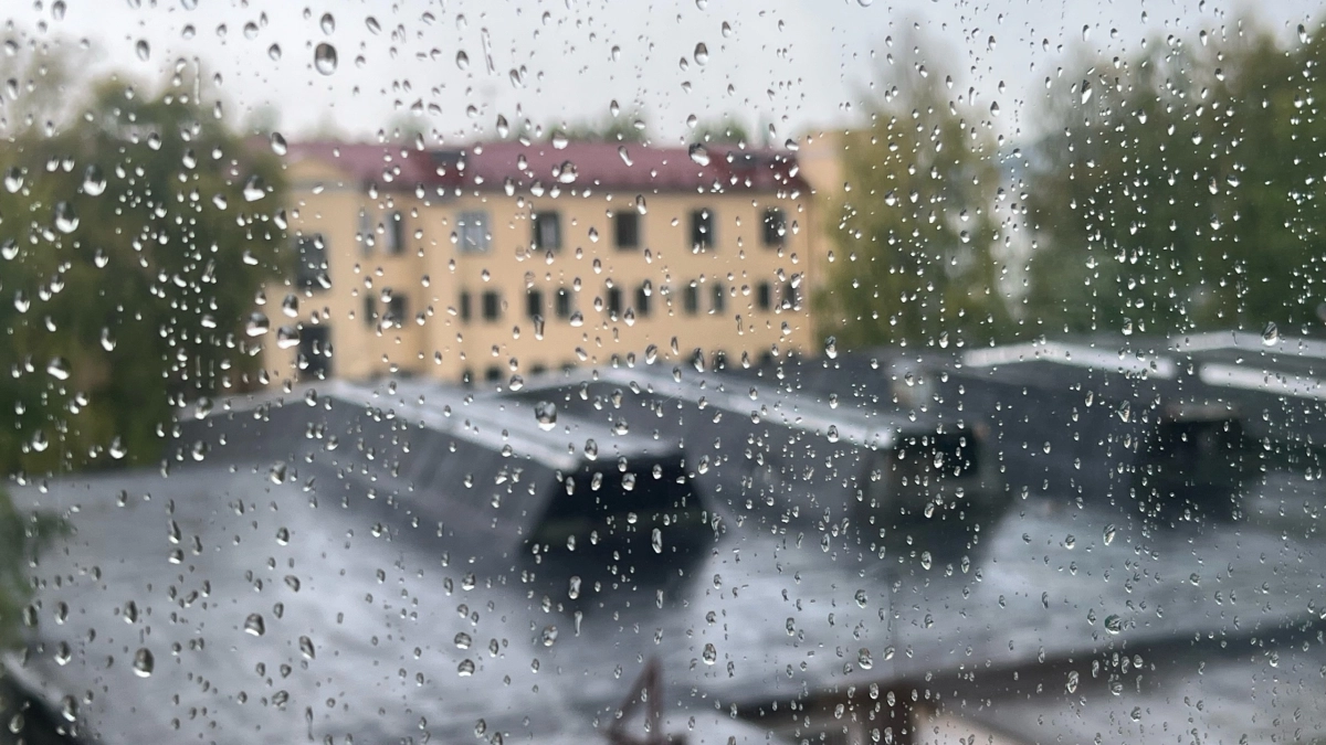 В Московской области 28 мая ожидаются дожди и похолодание +3 градусов