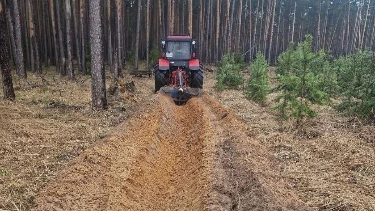 В Наро-Фоминском округе усилили барьеры для сдерживания лесных пожаров
