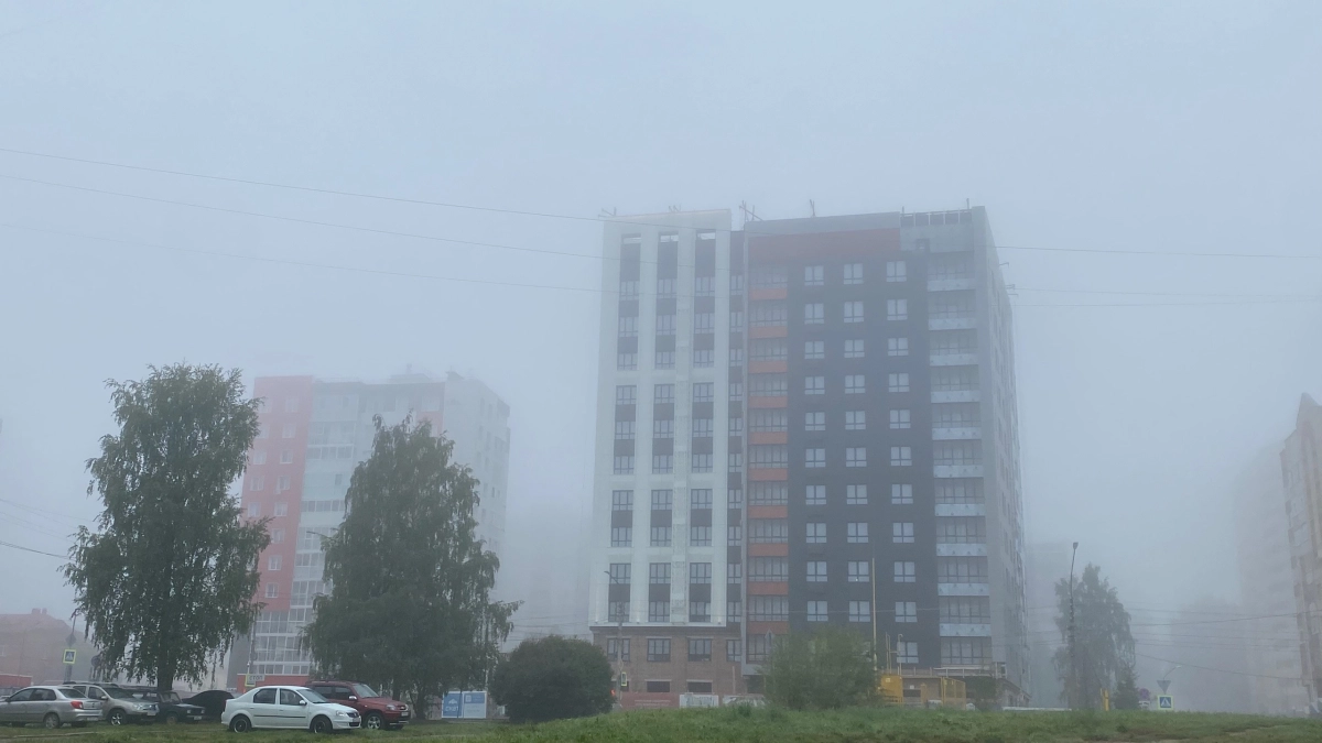 Жителей Московской области предупредили о тумане и дождях: погода в регионе 1 июня