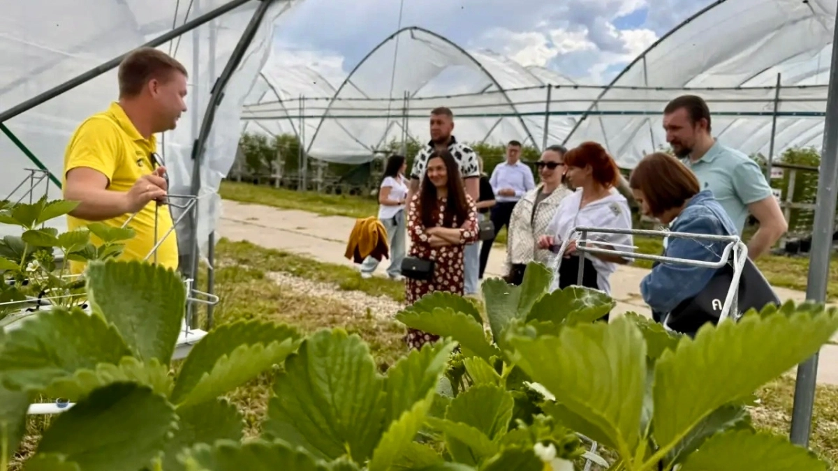 Делегация “Ленты” подписала контракт на поставку ягод из Наро-Фоминска