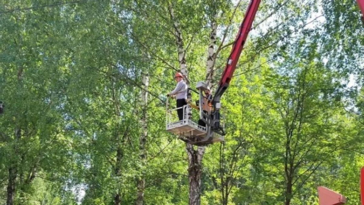 В Наро-Фоминске продолжаются работы по комплексному озеленению и санитарной очистке