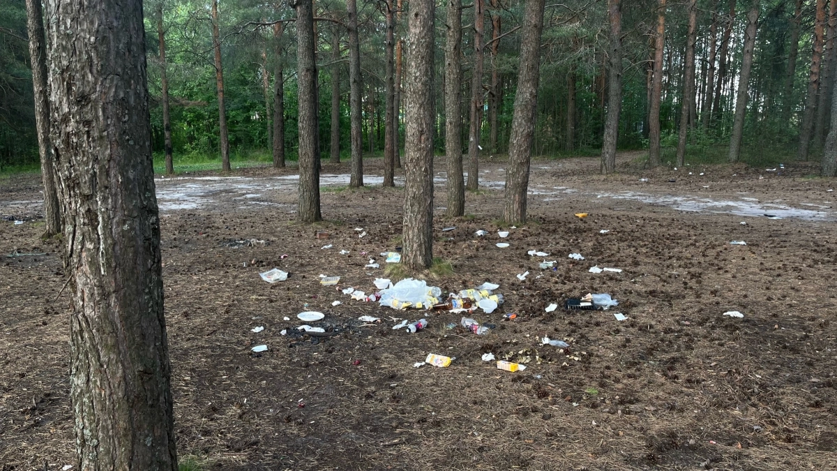 Землевладельца в Подмосковье обязали заплатить за мусор, найденный на его участке