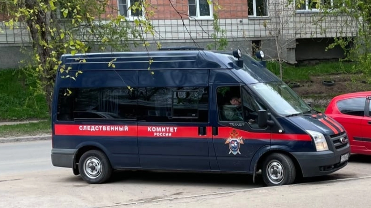 В Московской области суд арестовал фигурантов по делу о гибели двух человек на вечеринке