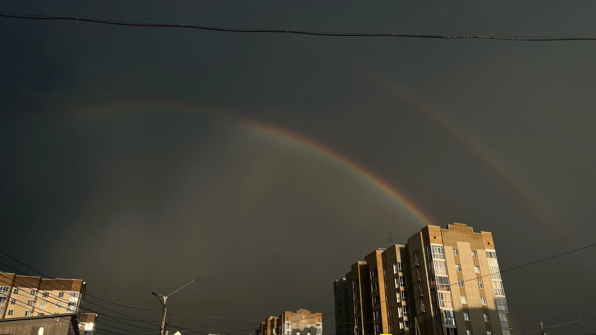 Московскую область 8 июля накроют дожди: прогноз погоды на среду