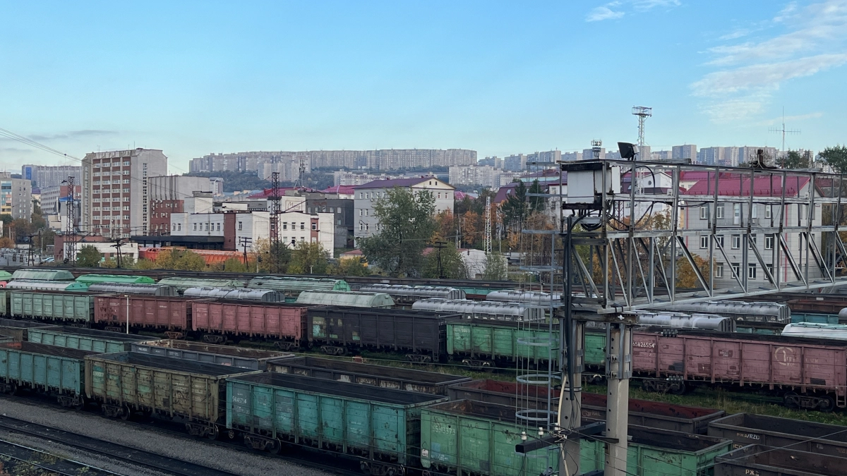 Подмосковье увеличило экспорт продовольствия на 7 процентов за полгода
