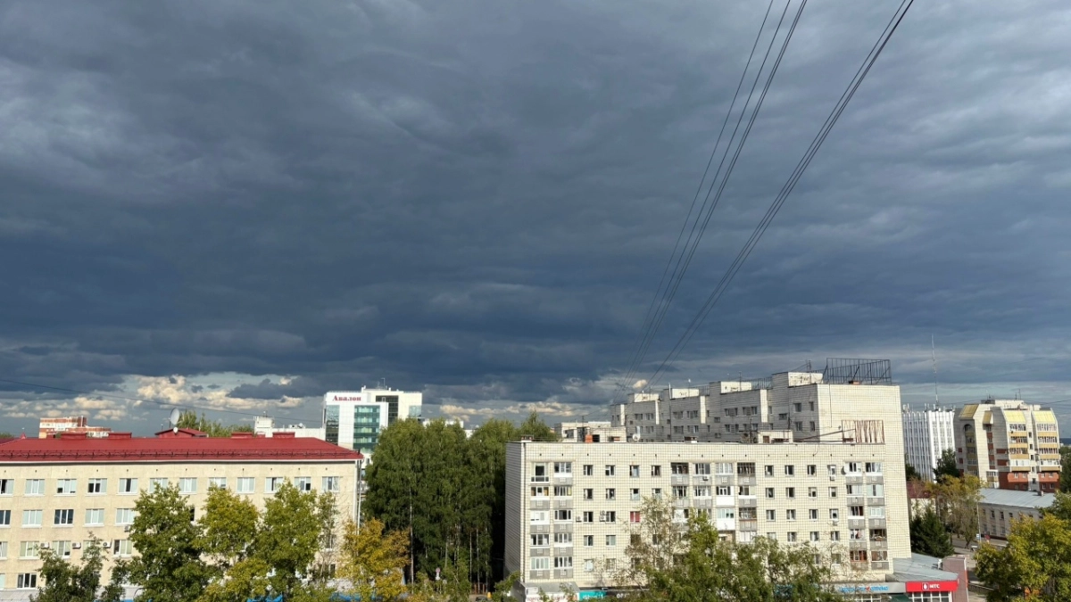 Погода в Московской области 15 августа будет прохладной и с небольшими дождями