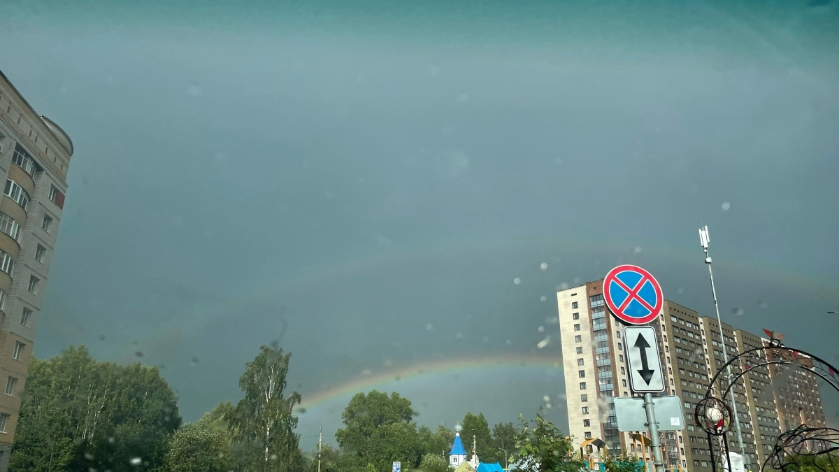 В Московской области ожидается дождь: прогноз погоды на 20 августа