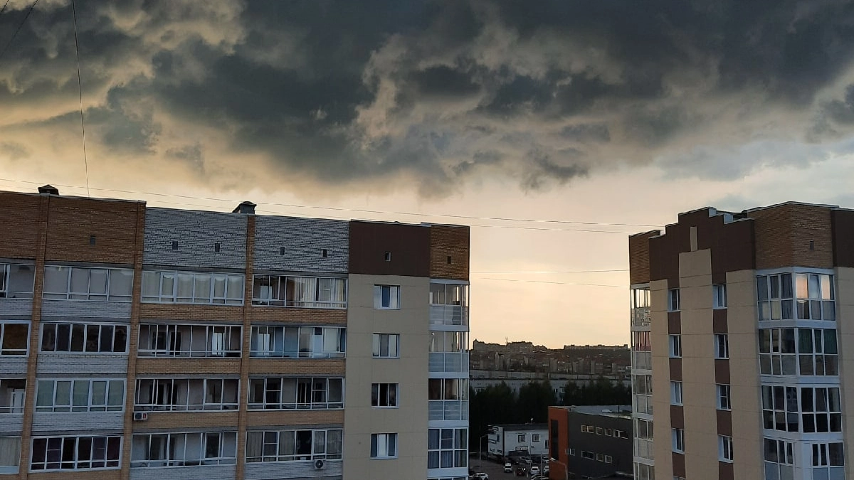 Дожди с грозами придут в Московскую область: прогноз погоды на 2 сентября