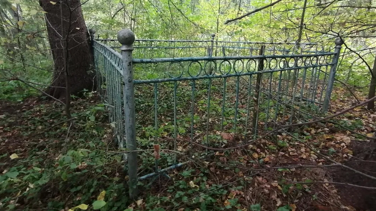 Под Наро-Фоминском обнаружили забытое захоронение солдат 1941 года