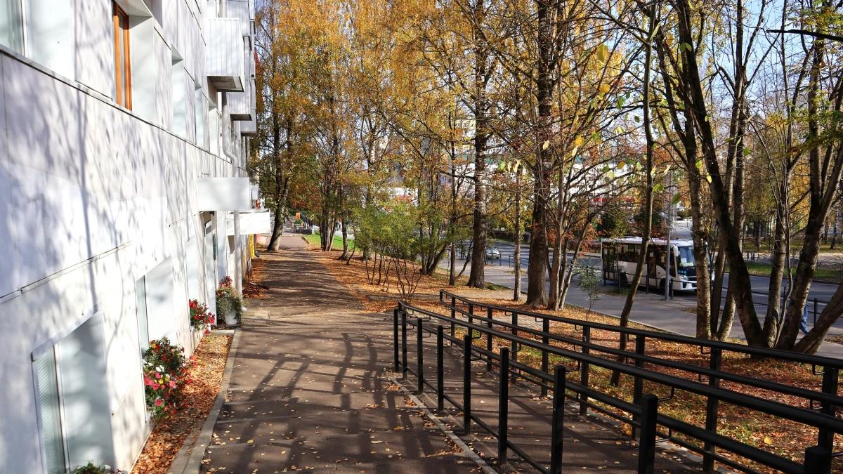 Жителей Московской области ждёт тёплая осенняя погода без существенных осадков: прогноз на 8 октября