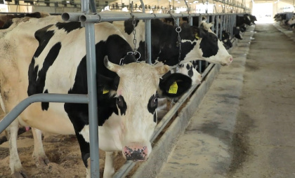 В Наро-Фоминском округе объем промышленного производства вырос почти на 9%