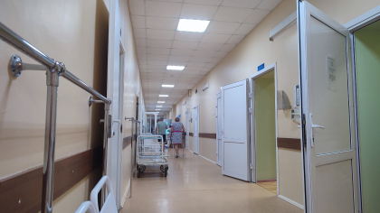 В Московской области медики достали из уха пациентки живого таракана